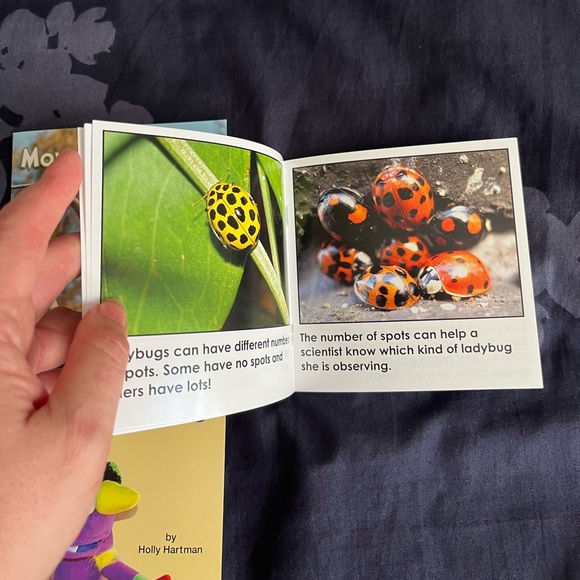 Mini Books Bundle - Picture 11 of 11